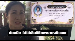 หมัดแมว