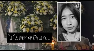 หมัดแมว