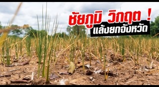 ชัยภูมิ