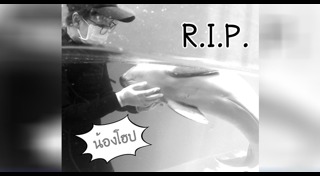 วาฬเกยตื้น