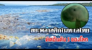 ทิ้งขยะลงทะเล