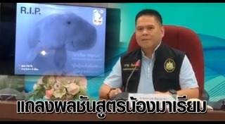 พะยูนมาเรียม