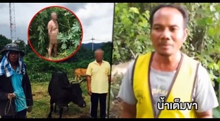 ข่มขืนสัตว์