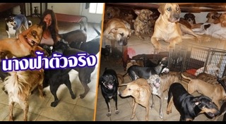 พายุเฮอริเคน