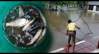 น้ำท่วมศรีสะเกษ