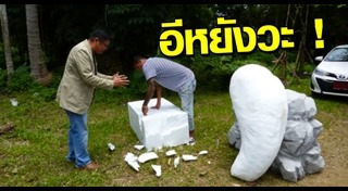 พะยูนมาเรียม