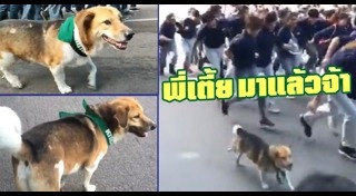 รับน้องขึ้นดอย มช.