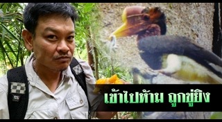 นกเงือก