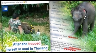 มิตรภาพคนกับสัตว์