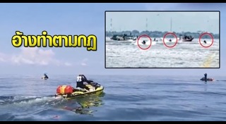 วาฬบรูด้า