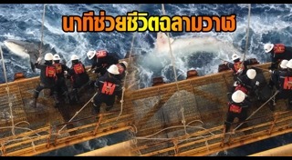 ฉลามวาฬ