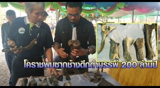 สัตว์ดึกดำบรรพ์