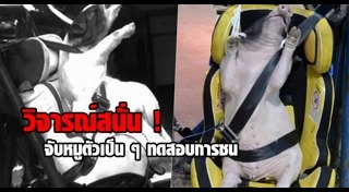 นักวิทยาศาสตร์