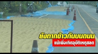 สิ่งกีดขวางบนถนน