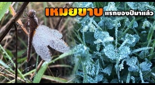 กิ่วแม่ปาน