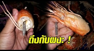 กุ้งเผา