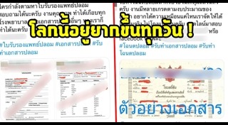 หมอแล็บแพนด้า