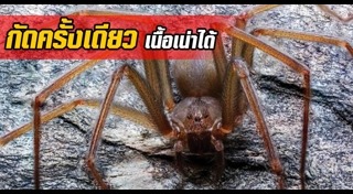 นักวิทยาศาสตร์