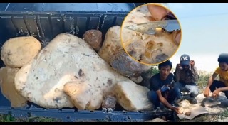 อำพันทะเล