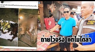 นกเงือก