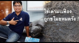 ดร.ธรณ์ ธำรงนาวาสวัสดิ์