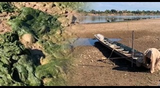 ภัยแล้ง