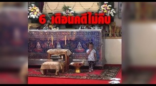 รถเมล์ชนคน