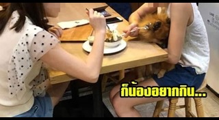 ร้านไอศกรีม