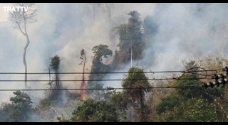 ที่พักตราด