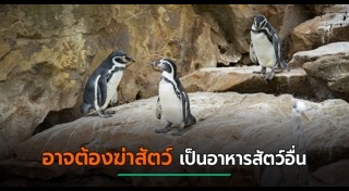 เยอรมนี