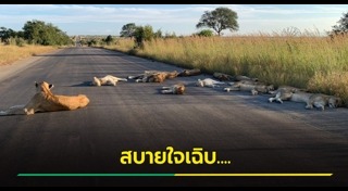 แอฟริกาใต้