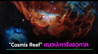 ภาพถ่ายทางอากาศ