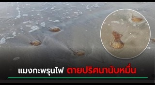 นครศรีธรรมราช