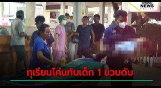 ต้นไม้ล้มทับคน