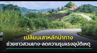 ยางพารา