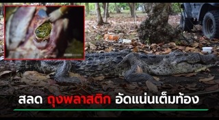 ถุงพลาสติก