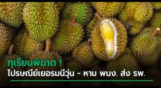 เยอรมนี