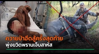 ล่าสัตว์