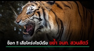เสือกินคน