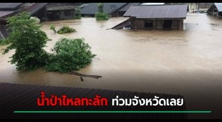 น้ำท่วมเลย