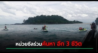 เรือเฟอร์รี่ล่ม