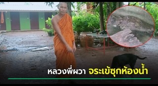 จระเข้น้ำเค็ม