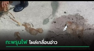 นครศรีธรรมราช