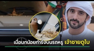 เจ้าชายชีกห์ฮัมเดน