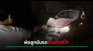 รถชนช้าง