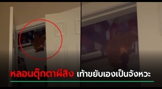 ตุ๊กตาผี