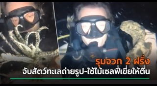 เกาะพะงัน