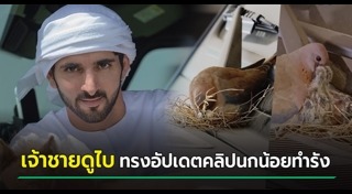 เจ้าชายชีกห์ฮัมเดน