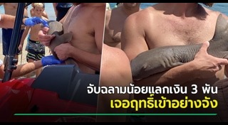 ฉลามกัดคน