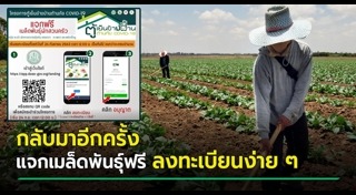 เมล็ดพันธุ์พืช